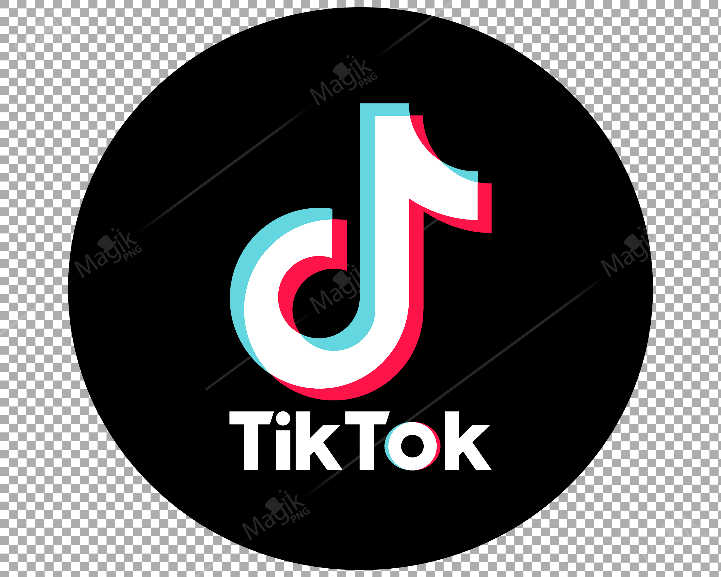 Tik tok oval logo Png